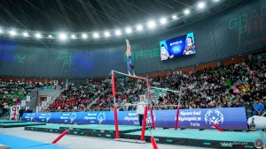 grand prix della ginnastica 0366 sfe06554 copia simone ferraro ph